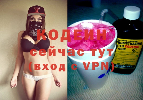 гашик Сатка