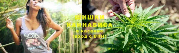ПСИЛОЦИБИНОВЫЕ ГРИБЫ Армянск
