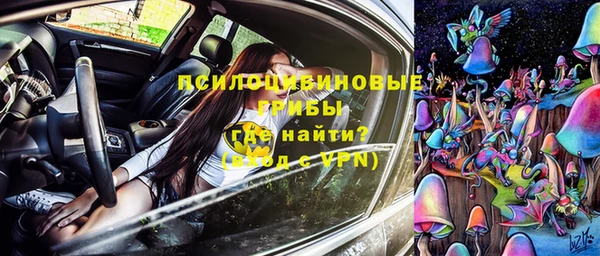 ПСИЛОЦИБИНОВЫЕ ГРИБЫ Армянск